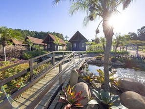 A wooden bridge over a pond with a waterfall, surrounded by tropical plants and palm trees. - Pousada Scursel (Ibirama)