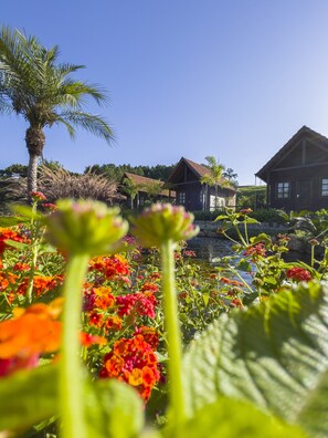 A tropical garden with colorful flowers and a pond, surrounded by wooden houses with a clear blue sky above. - Pousada Scursel (Ibirama)