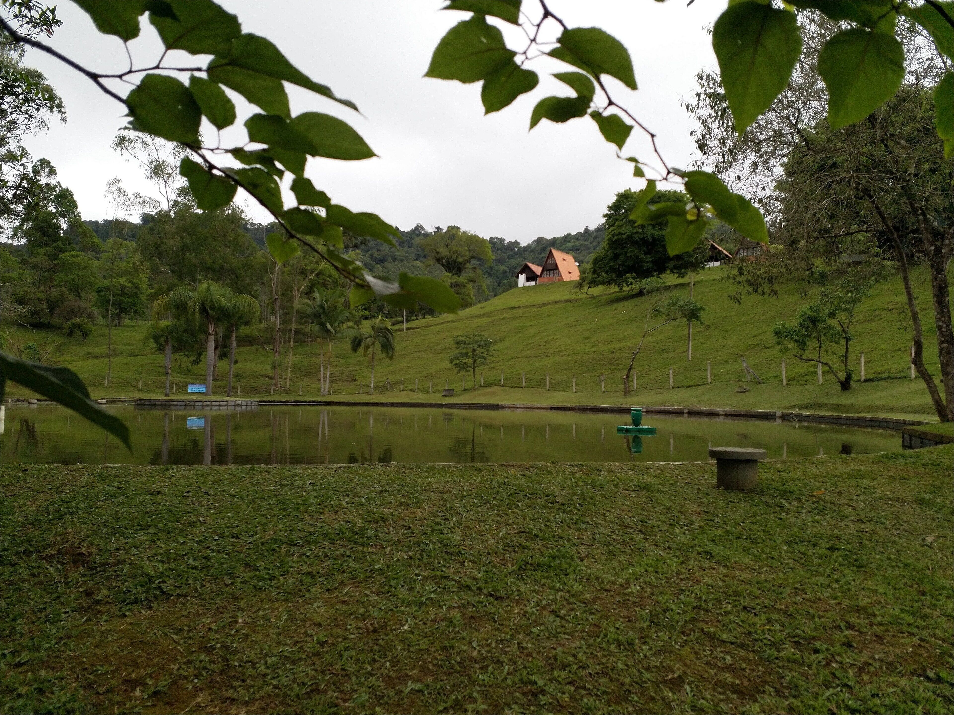 Un paisaje tranquilo con un estanque, zonas de césped y una casa en una colina.