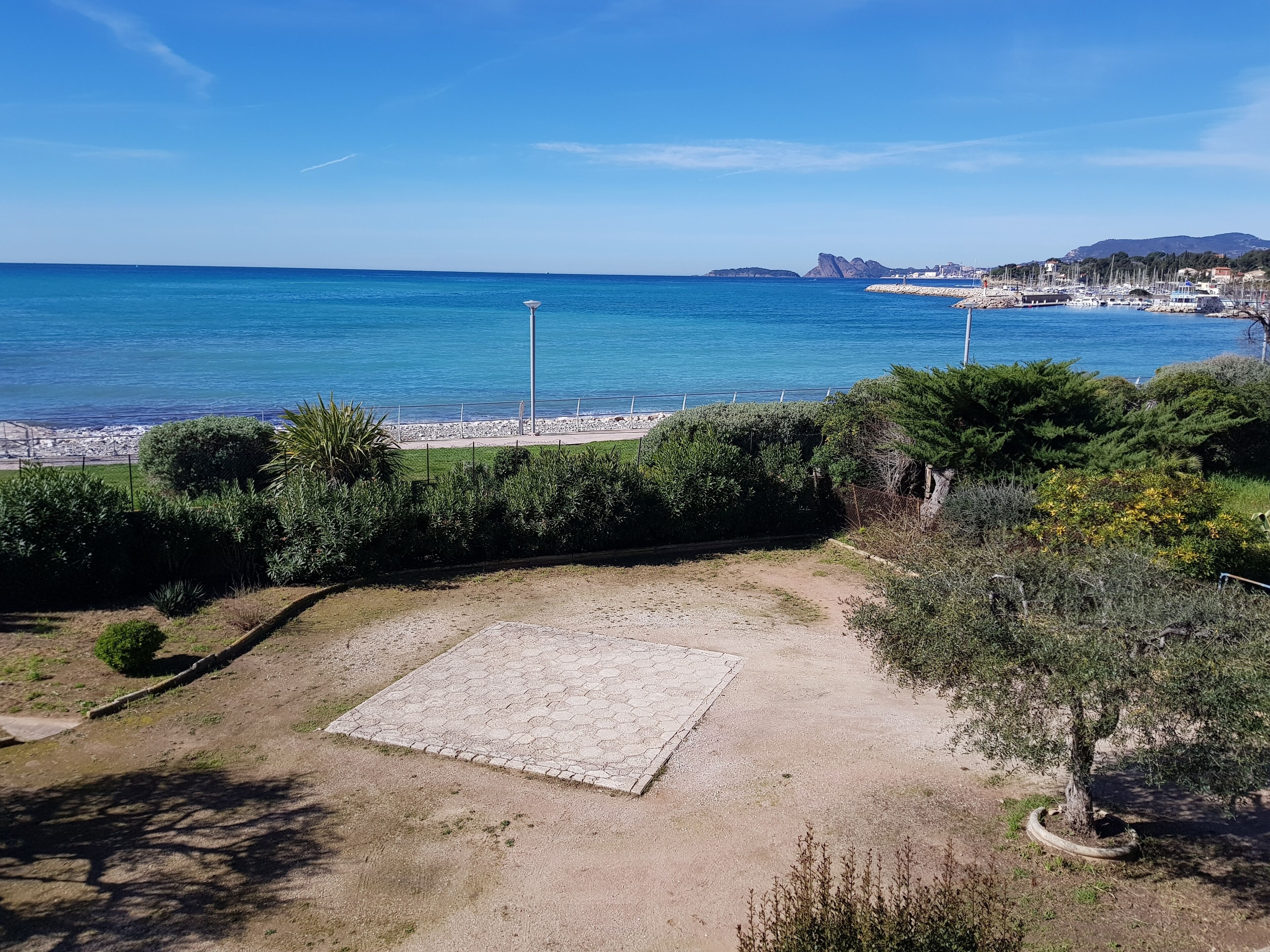Une vue sur la côte, avec une zone sablonneuse, une portion pavée et un arbre.