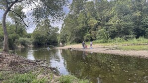 Un entorno natural con un río, árboles y gente cerca de la orilla.