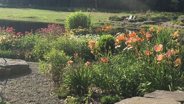 Ein Garten mit Teich, umgeben von unterschiedlichen Pflanzen und Blumen.