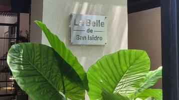 A potted plant with large green leaves in front of a wall with a sign that reads "La Belle de San Isidro."