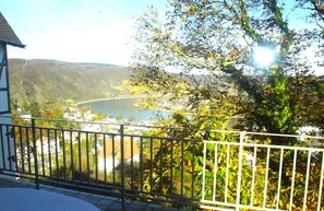 Property grounds - Little Rhine View Château (EG) :  Apartment at the largest  Rhine loop/bend. (Boppard)