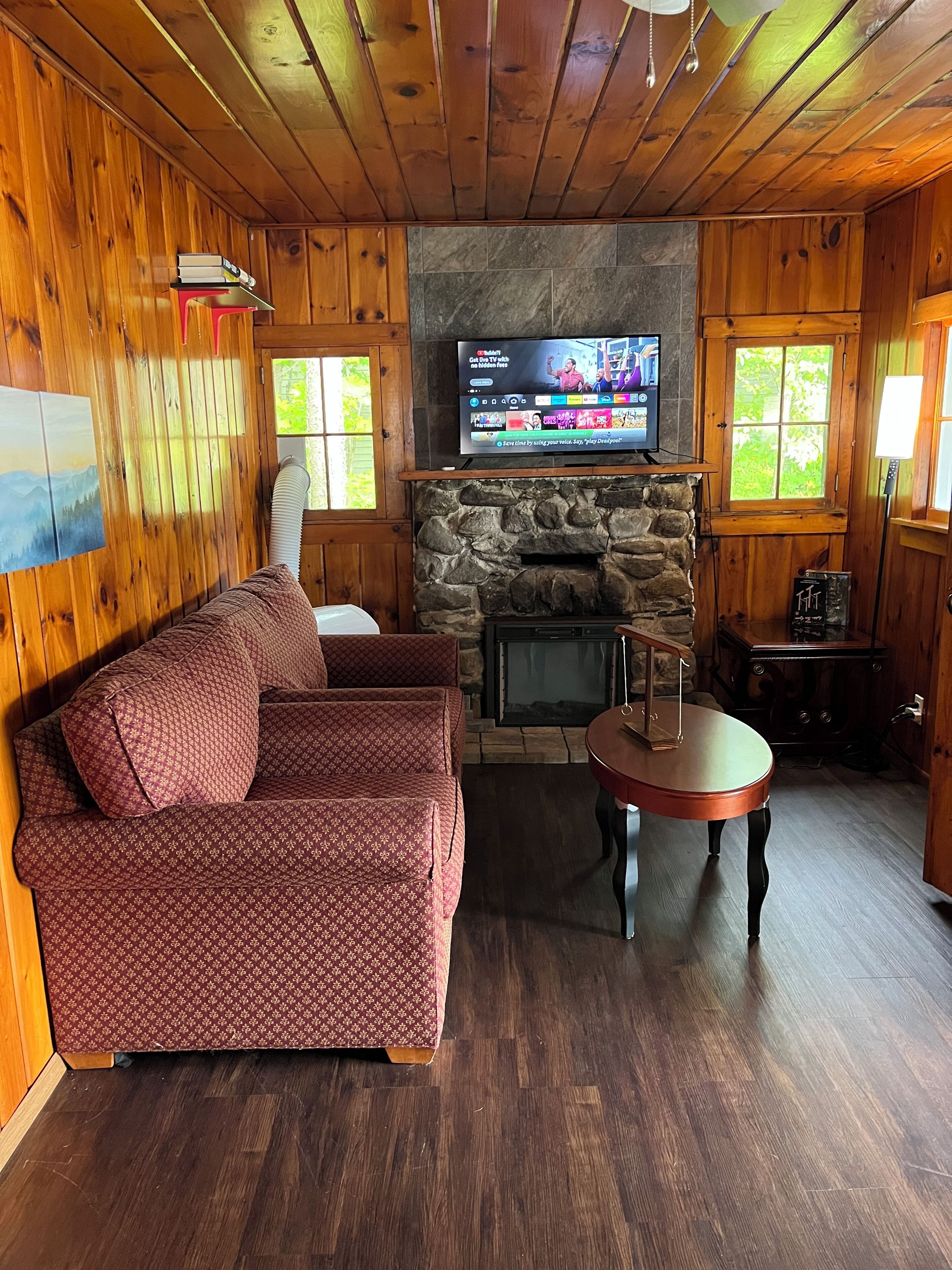 Smart TV, fireplace, books