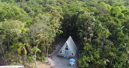 Beautiful cabin immersed in the forest