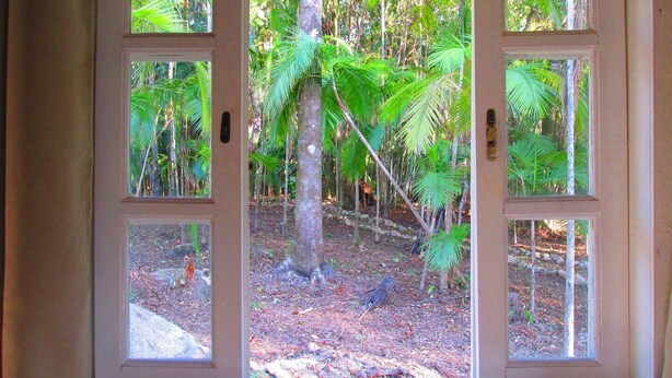 A window with a view of a dense forest with tall trees and ferns. - Beautiful chalet overlooking Pico do Marumbi (Morretes)
