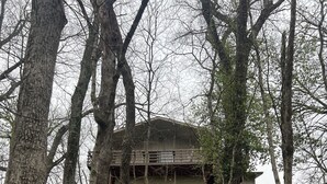 A rustic cabin surrounded by trees, with a sloped roof and a small porch. - Trailside Terrace 
Private access to tunnel vision trial (Bella Vista)