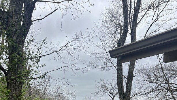 A wooden deck with a view of a forested area and a distant building. - Trailside Terrace 
Private access to tunnel vision trial (Bella Vista)