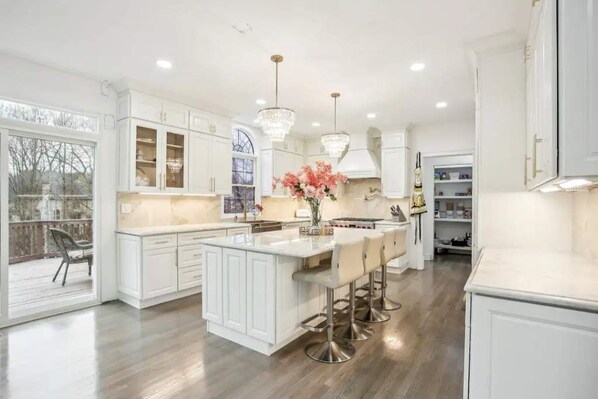 Private kitchen - Modern Style Luxury Home (Alpharetta)
