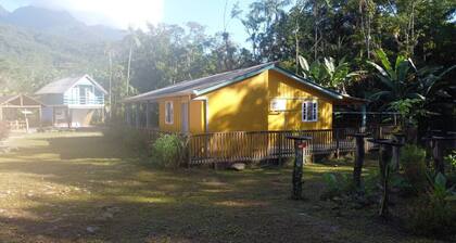 Beautiful and Cozy House Surrounded by Nature