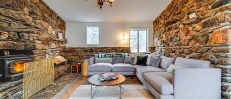 TV, fireplace, books