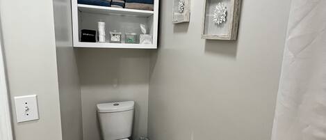 Een kleine, schone badkamer met toilet, een plankje met toiletartikelen en twee decoratieve lijsten aan de muur.