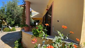 A building with a yellow exterior, a stone pathway, and potted plants with orange flowers. - Flower Garden Villa (Ksamil)
