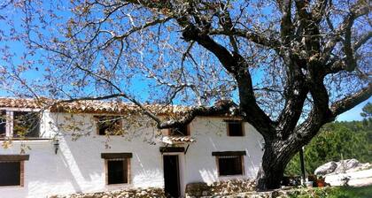 Apartment 'Majada La Carrasca' with Mountain View, Private Pool and Air Conditioning