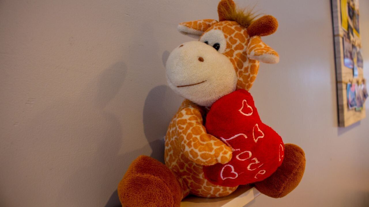 A plush giraffe toy holding a red heart-shaped object.