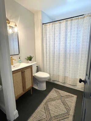 Hair dryer, towels, soap, shampoo