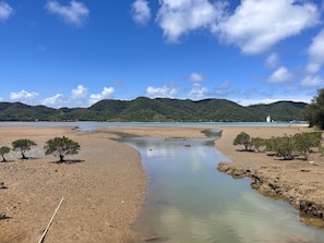 Beach - 10 minutes from the airport one building availabl / Amami Kagoshima (Amami)