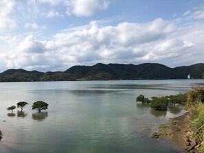 Un lac paisible, avec des arbres qui se reflètent dans l’eau et des collines en arrière-plan.