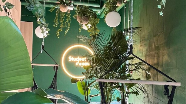 A room with hanging plants, a hammock, and a neon sign reading "Student Type." - Chillout Dorm Cracow (Kraków)