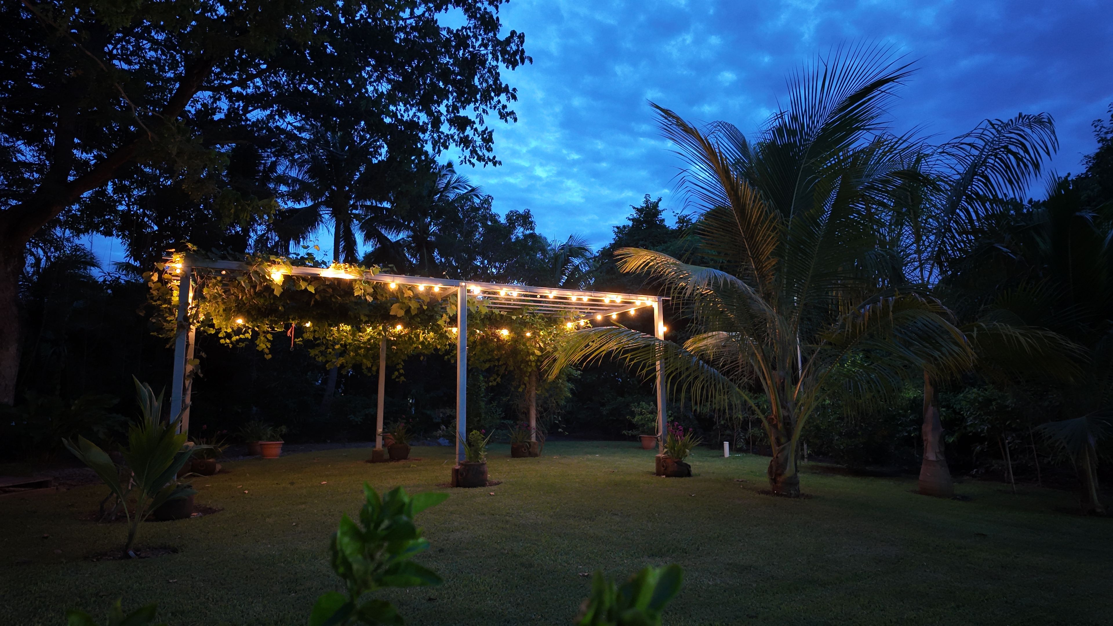 Ein Garten mit einer Pergola, die mit Weinreben und Lichterketten bewachsen ist, umgeben von Palmen und Topfpflanzen.