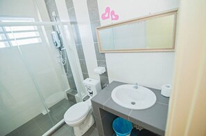 Douche, douche hydromassante, sèche-cheveux, bidet