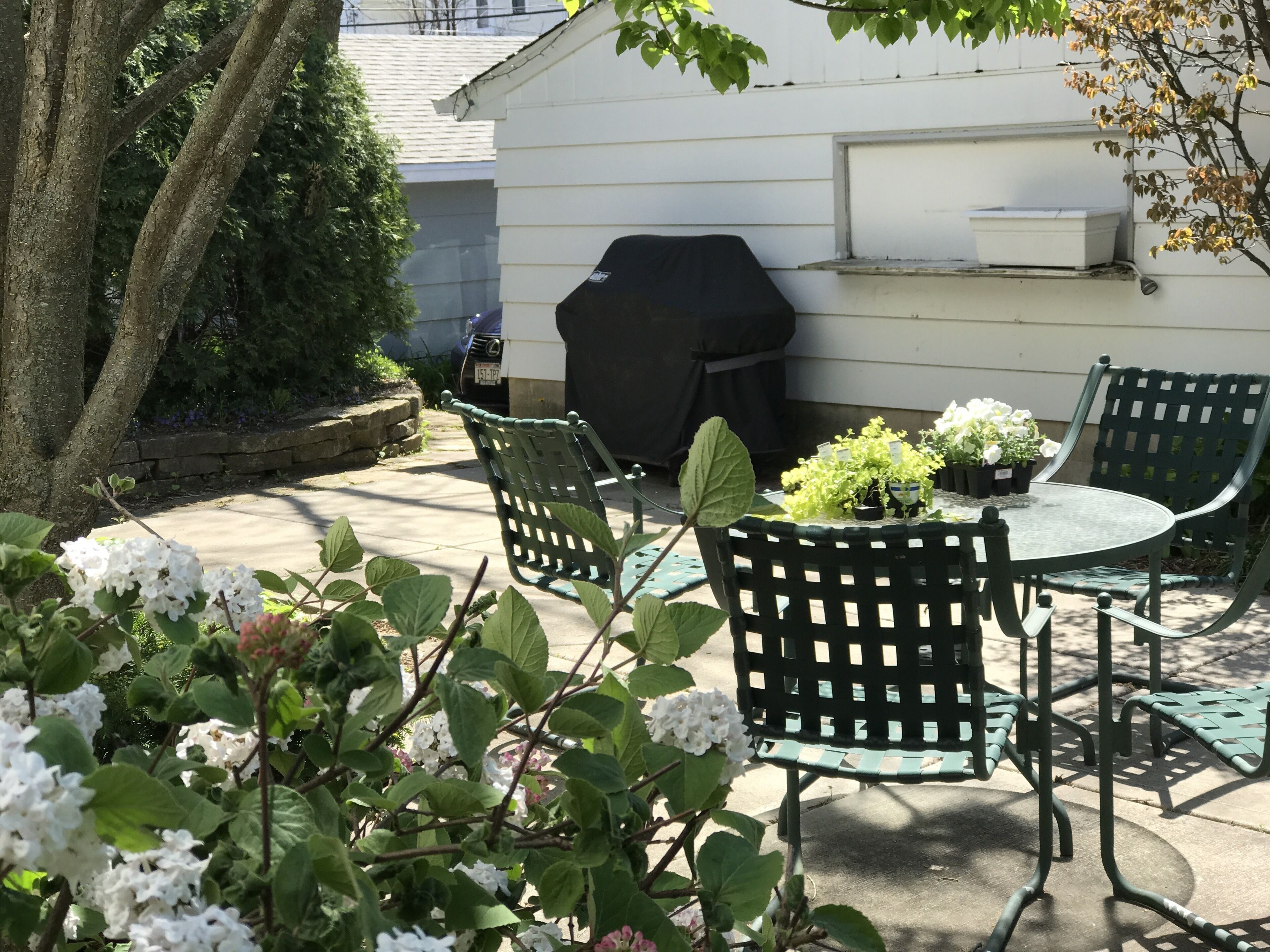 An outdoor patio with green metal chairs and a table, surrounded by potted plants and white flowers.