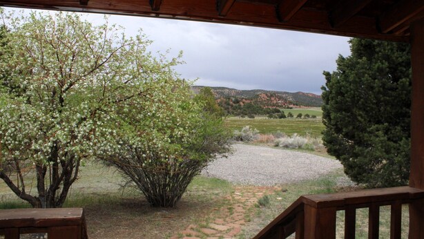 Un espacio al aire libre techado con un sendero de grava que conduce a un paisaje pintoresco.
