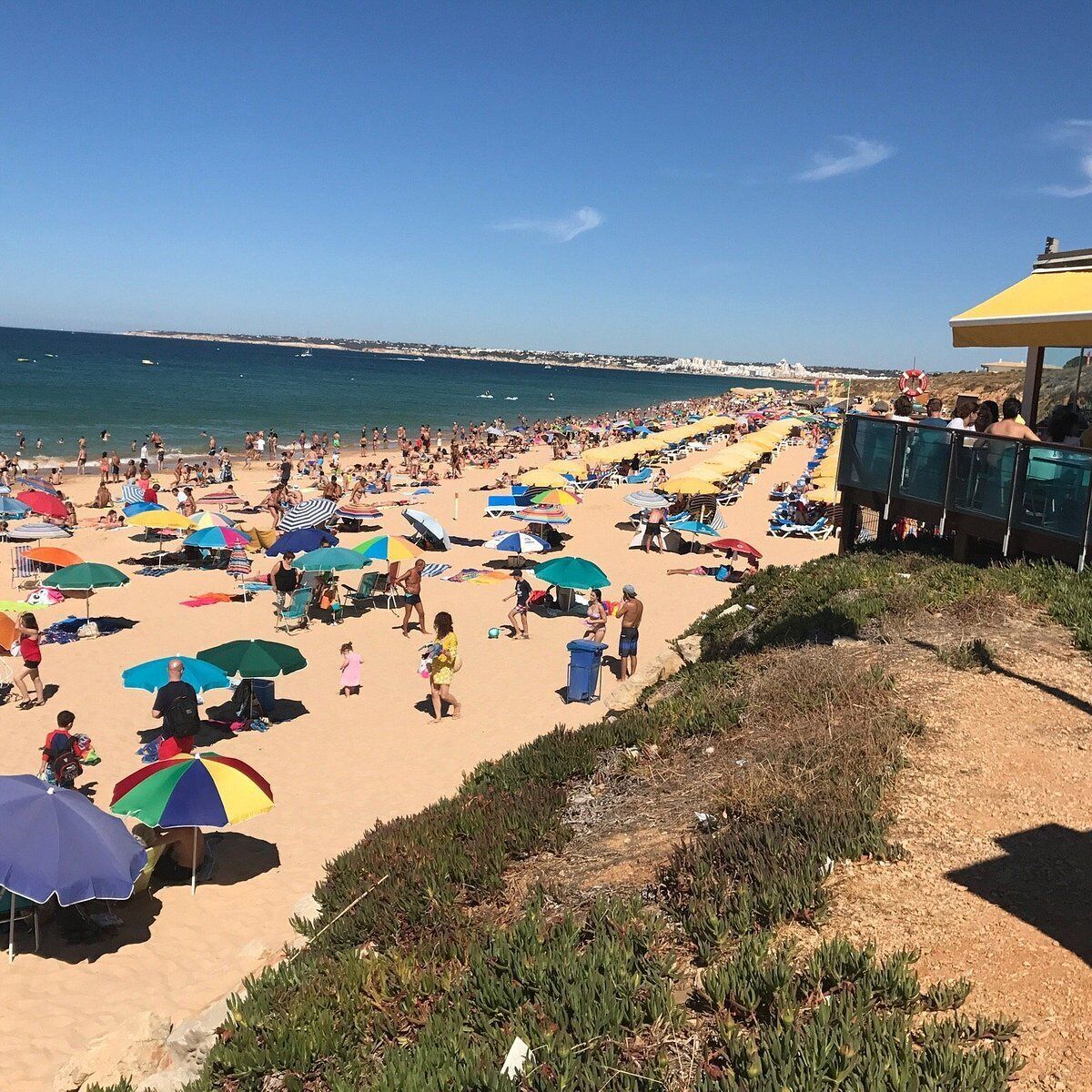 A crowded beach with numerous colorful umbrellas and people enjoying the sun.
