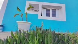 Un edificio moderno con fachada azul brillante, una ventana blanca y una planta en maceta al frente.
