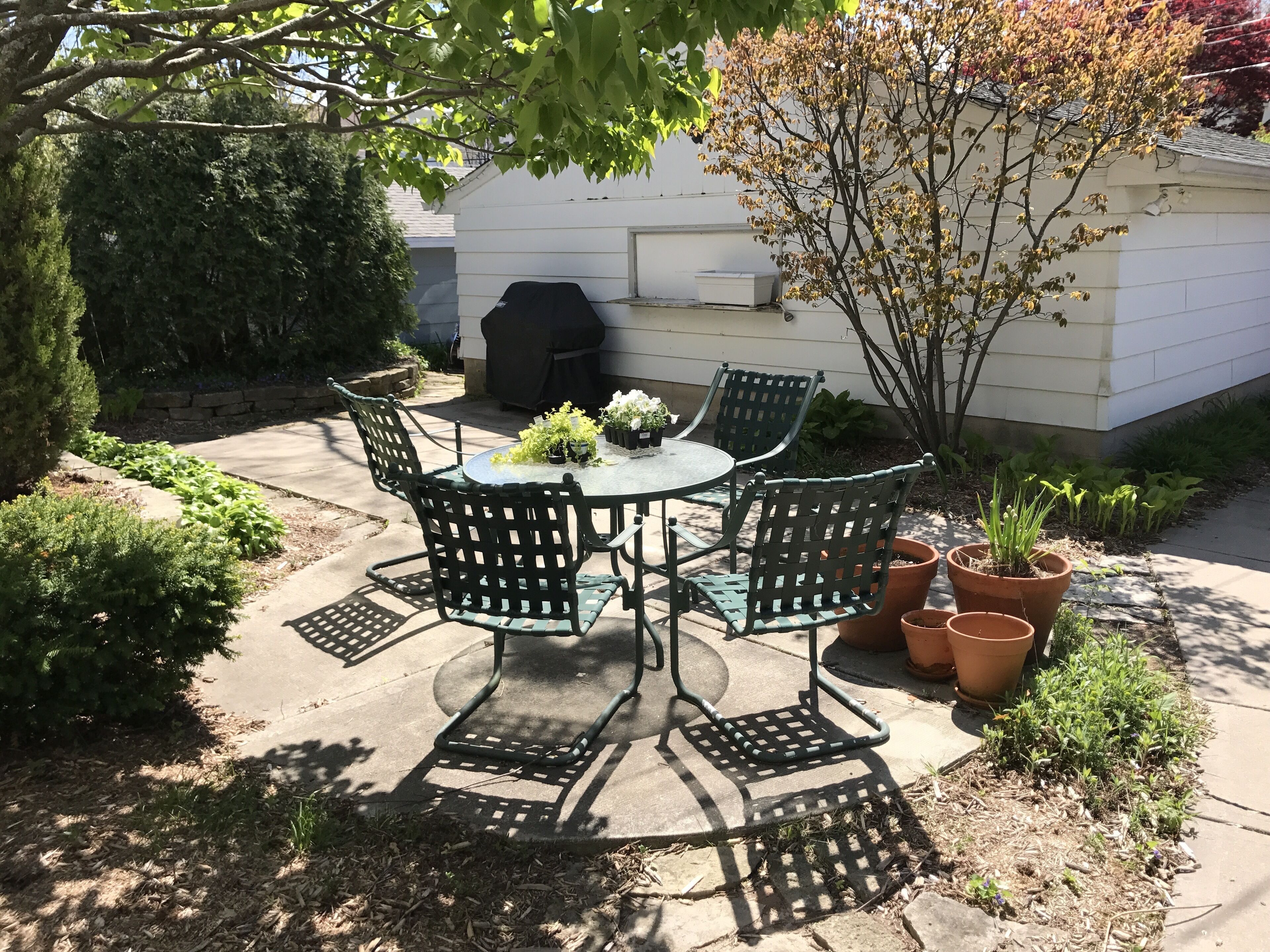 A patio with a round table and chairs, surrounded by potted plants and a small tree.