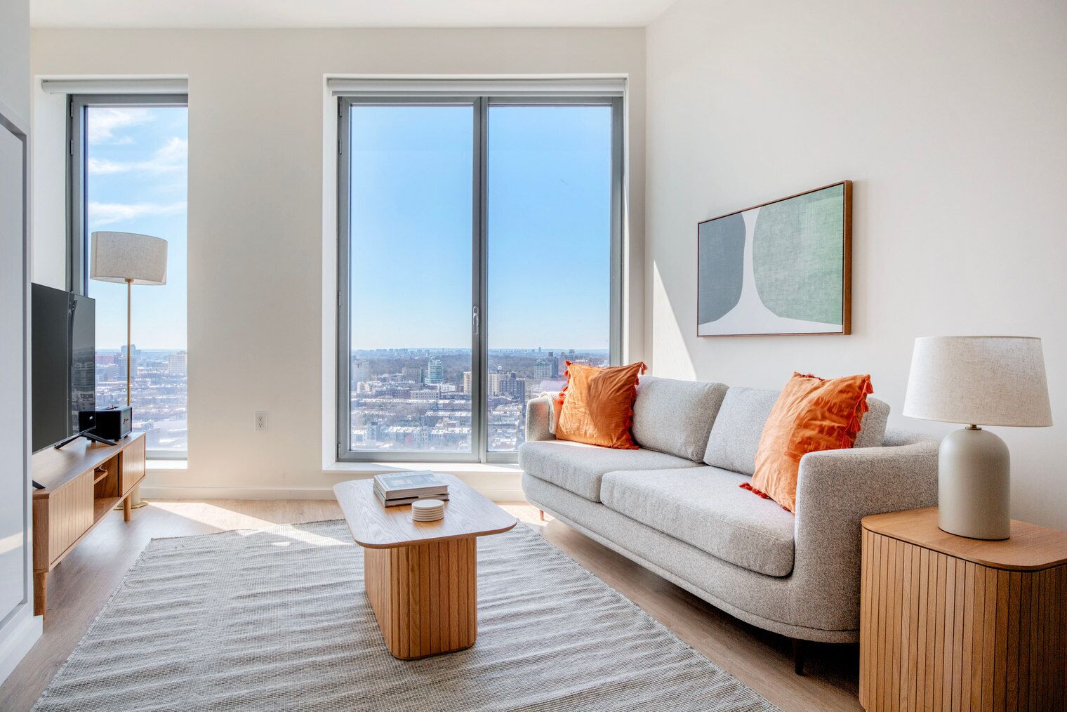 テレビ、ステレオ