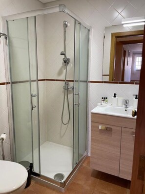 Hair dryer, towels, soap, toilet paper - Casa do Olival One-Bedroom Studio (Salzedas, Viseu)