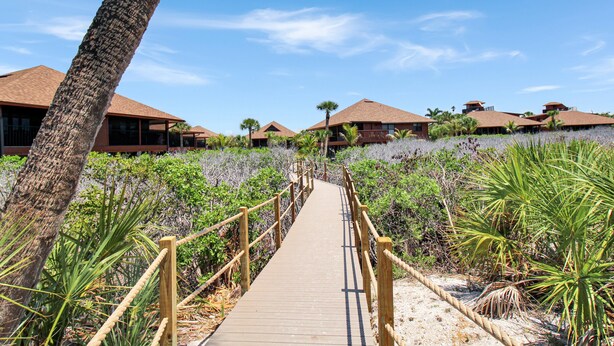 Une promenade en bois mène à un complexe hôtelier composé de plusieurs bâtiments, le tout étant entouré d’une végétation tropicale.
