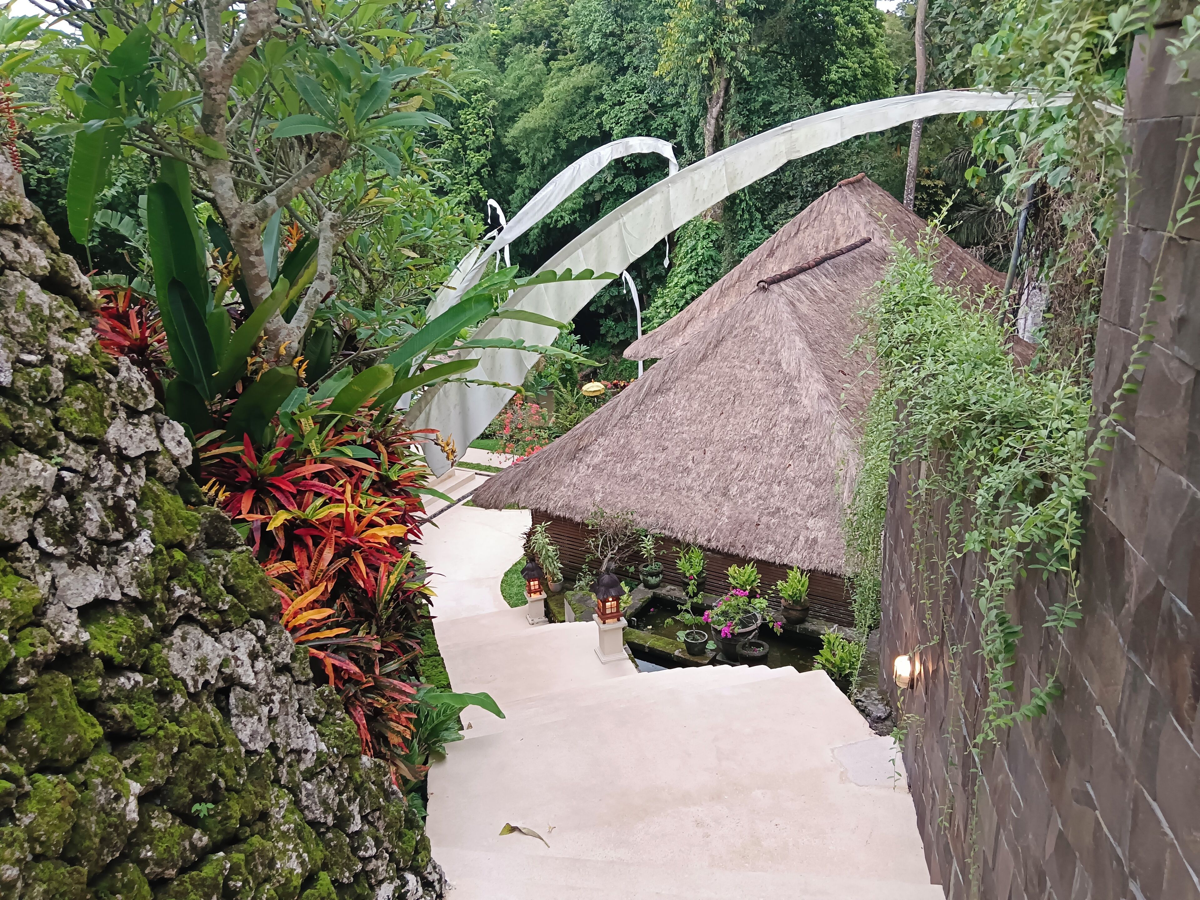 Un sendero estrecho que conduce a una construcción con techo de paja, rodeada de exuberante vegetación y un muro de piedra.