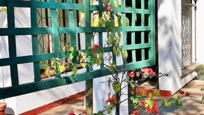 Una estructura de latici verd amb plantes i flors enfilades, un edifici blanc amb una finestra, i una planta en test dins del jardí.