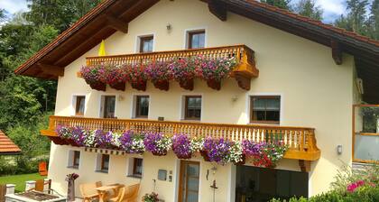 Apartment 'Haus Peschl Fewo 2' with Shared Garden, Balcony and Wi-Fi