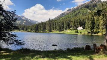 Un lago tranquilo con una cabaña pequeña y una iglesia al fondo, rodeado de un bosque frondoso y montañas.