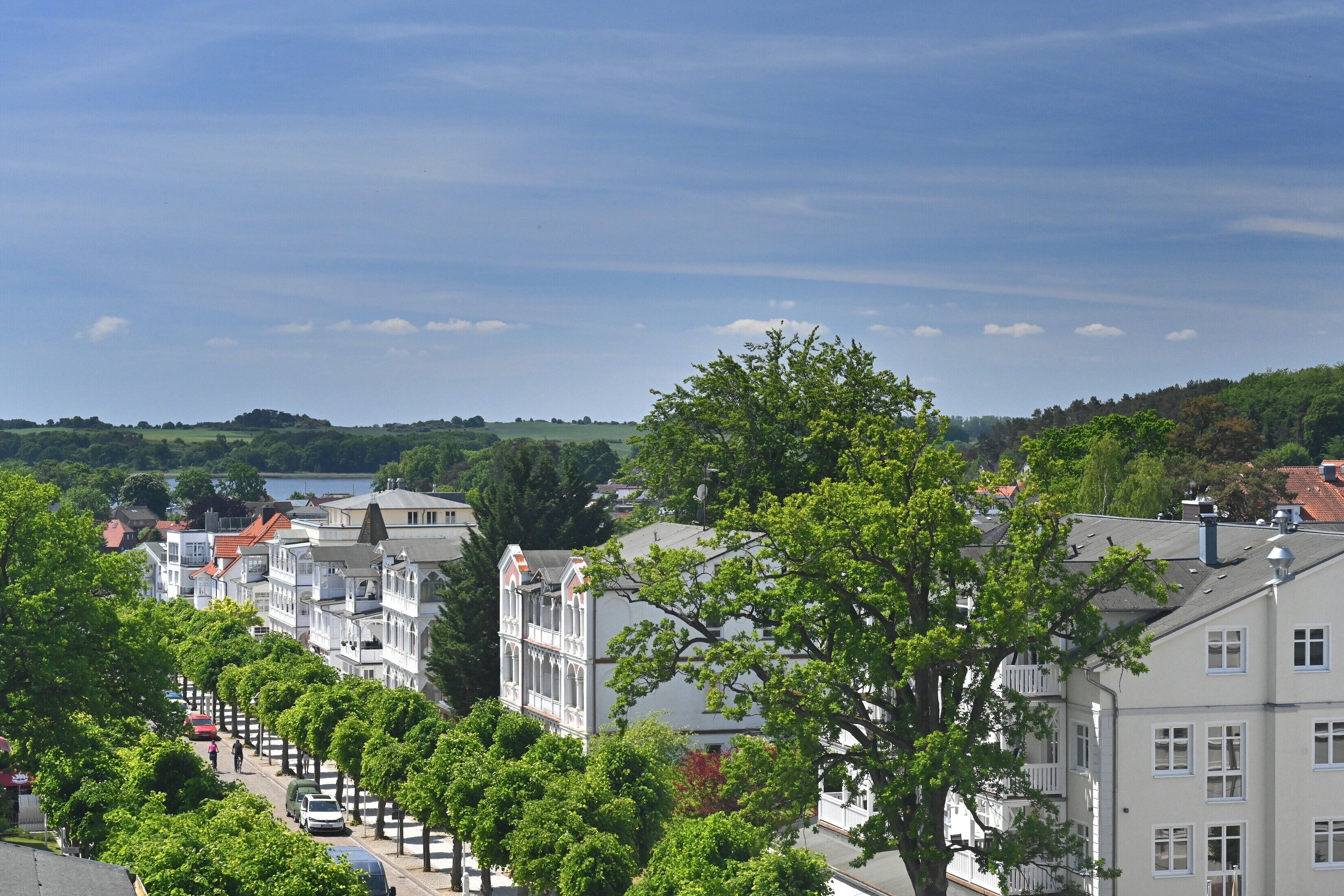 Une rue résidentielle bordée d’immeubles à plusieurs étages, d’arbres et sous un ciel dégagé.