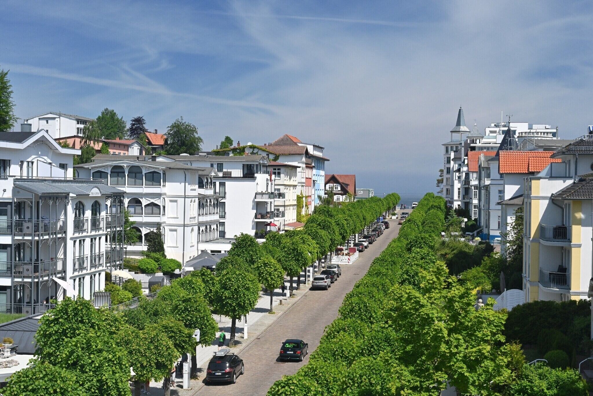 Eine von Bäumen gesäumte Straße mit Gebäuden, Autos und blauem Himmel.