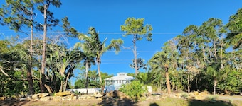 Tropical Dreams Estate perfect for unforgettable family getaways