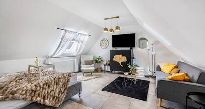 Apartment 'Deluxe' with Wi-Fi and Air Conditioning