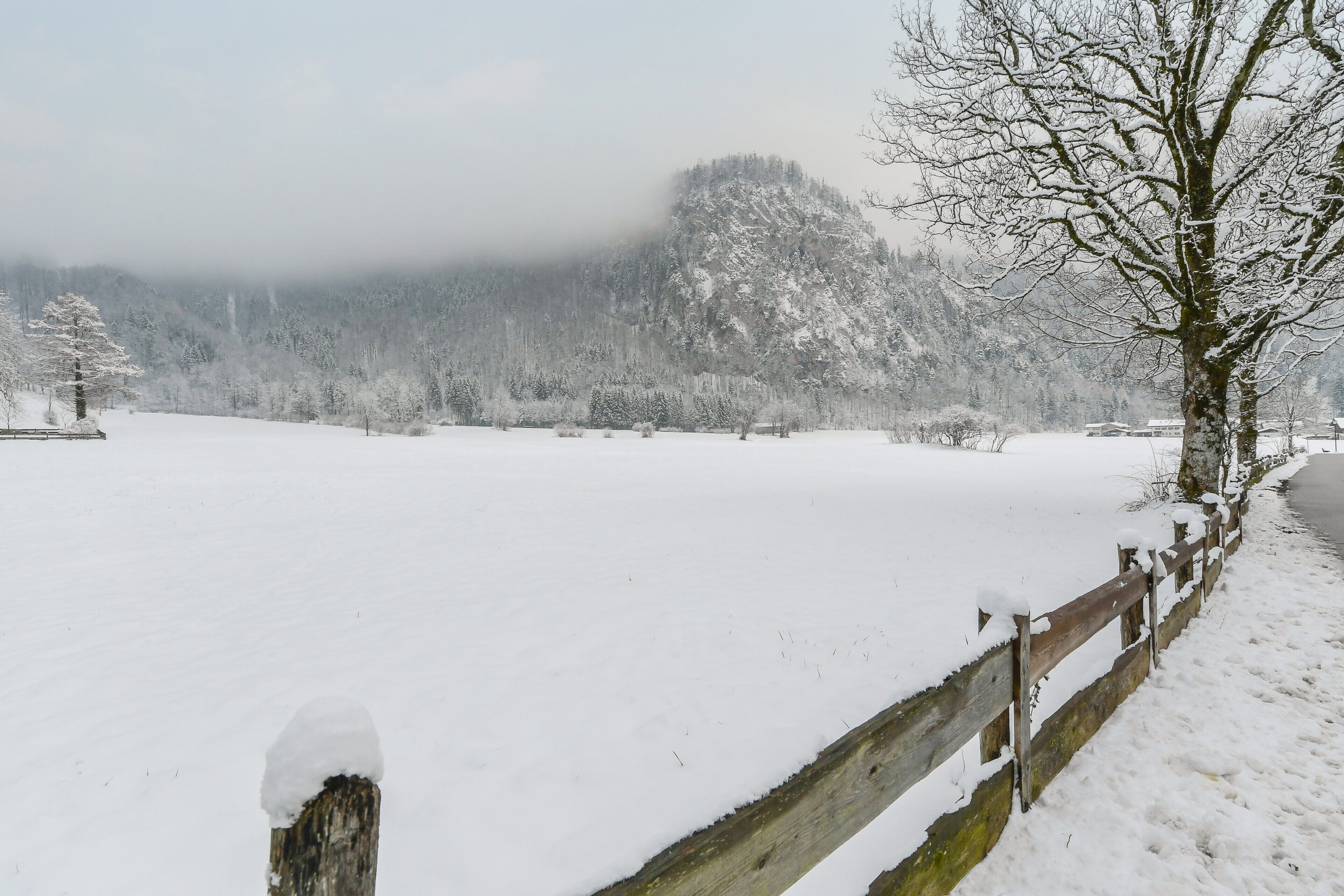 A snowy landscape with a wooden fence, trees, and a mountain in the background.