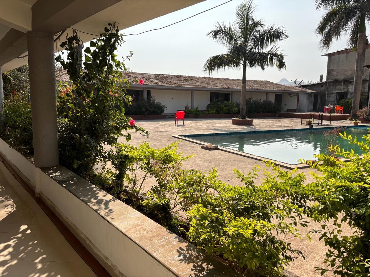 Un pati amb piscina, palmeres i cadires vermelles.