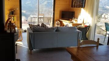 Télévision, lecteur de DVD, livres