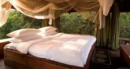 Baghvan A Taj Safari Pench National Park