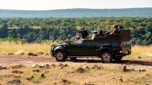 Vehículo safari con pasajeros circulando por un camino de tierra, rodeado de un paisaje boscoso.