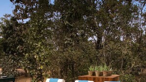 A poolside area with lounge chairs and candles. - Baghvan A Taj Safari Pench National Park (Kurai)