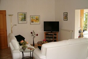 Smart-TV, Kamin, DVD-Player, Bücher