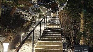 A set of outdoor stairs with railings, surrounded by snow and vegetation, leading to a building.